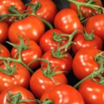 Tomaten uit Almeria