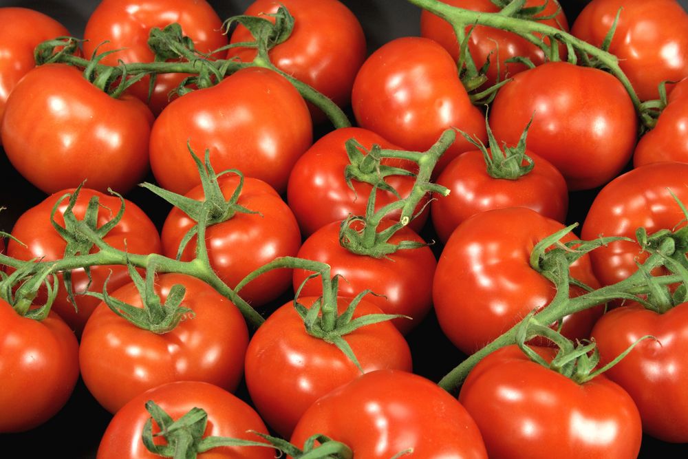 Tomaten uit Almeria